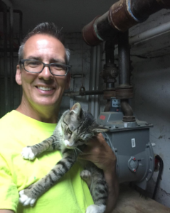 Bob cat