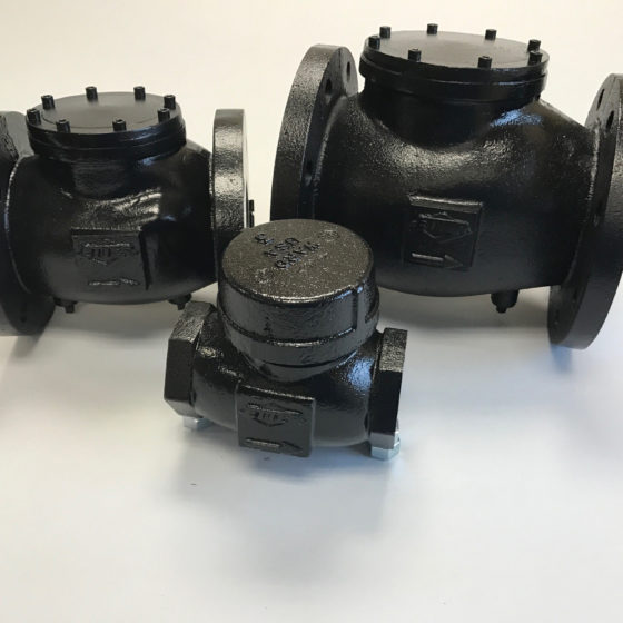 ETTER Check Valve 6