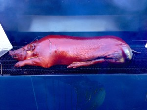 piggy